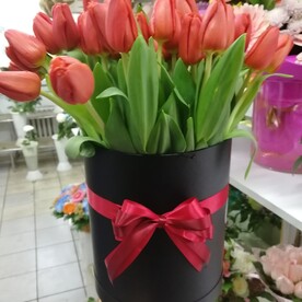 Букет из 51 тюльпанов в коробке