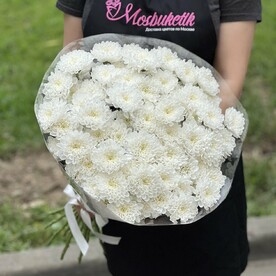 Букет из 15 кустовых прекрасных хризантем