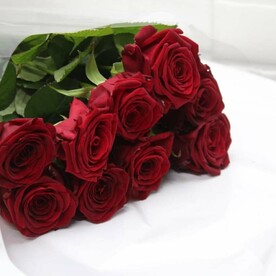Букет из 9 красных роз