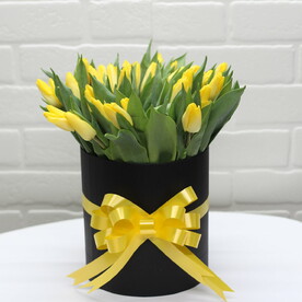 51 тюльпанов в коробке