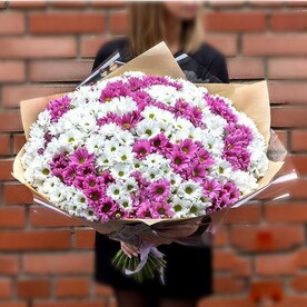 Микс кустовых хризантем