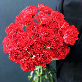 Букет из 25 гвоздик