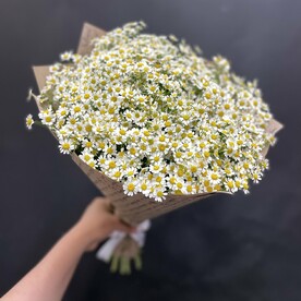 Букет из 25 ромашек