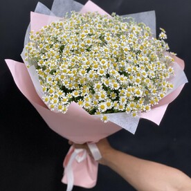 😍🥰Букет из 25 ромашек 😍🥰