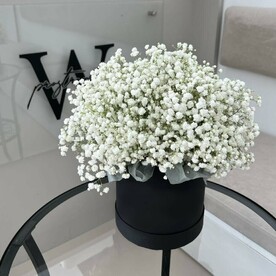 Букет из гипсофилы в коробке