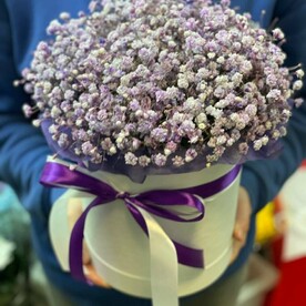 11 Гипсофилы в коробке