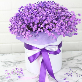 11 гипсофила в коробке Красная королева