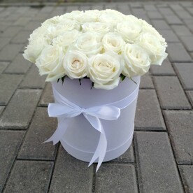 25 белых роз в коробке