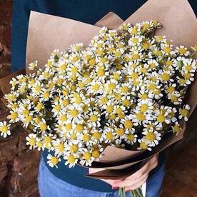Букет из ромашек