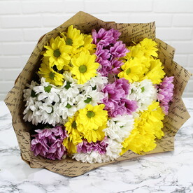 Хризантема кустовая, Крафт