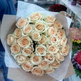 Букет из 29 кремовых роз