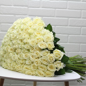 101 роза из цветочного мира