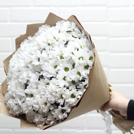 Хризантема кустовая, Крафт