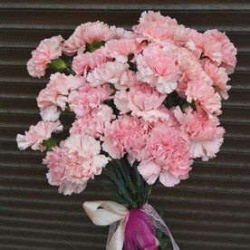 Букет из 25 гвоздик