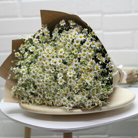 Букет из 25 ромашек