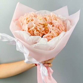 Букет из розовой гортензии «Сама нежность»