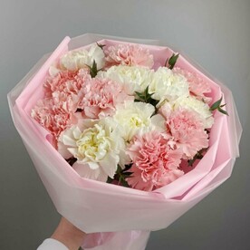 Букет из 13 розовых и белых диантусов и эвкалипта