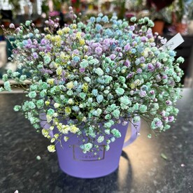 Приятный сюрприз