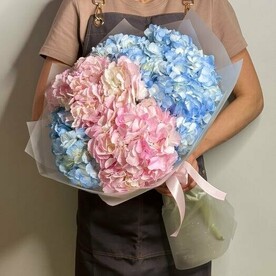 Гортензии 5 шт