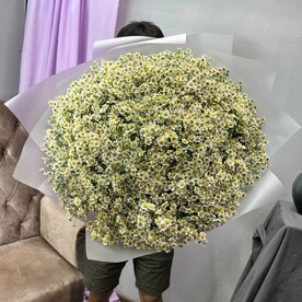 Букет из 101 ромашки