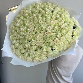 Букет из 151 розы