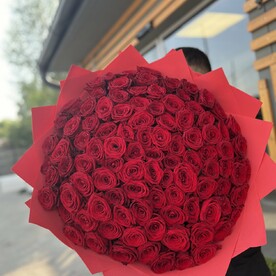 Красные розы