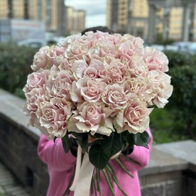 Роза розовая французская