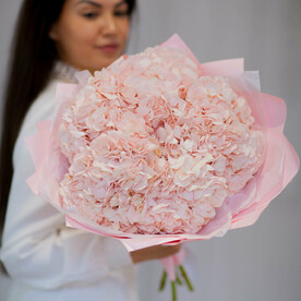 Розовые гортензии