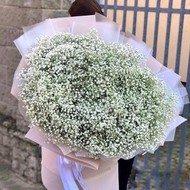 Большой букет белых гипсофил