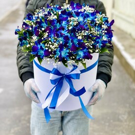 Большая коробка орхидей