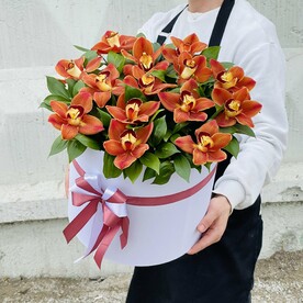 Большая коробка оранжевых орхидей