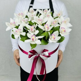 Коробка белых орхидей цимбидиум