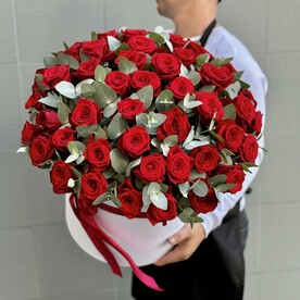 51 красная Роза с эвкалиптом в коробке