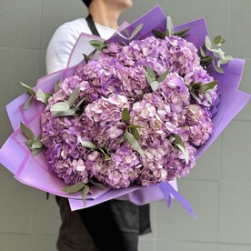 Большой букет сиреневых гортензий