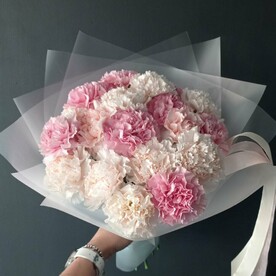 Гвоздика одноголовая, Пленка матовая