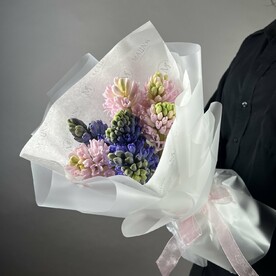 Микс гиацинтов