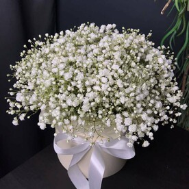 Композиция с гипсофилой🌸