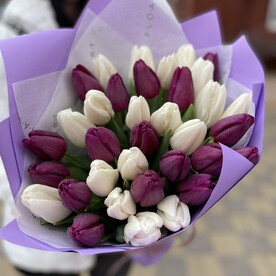 35 тюльпанов🌺