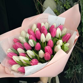 51 тюльпан🌺