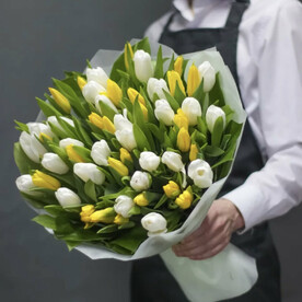 Микс из Тюльпанов🌺