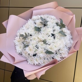 Хризантема кустовая🌺