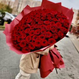 101 метровая роза🌸