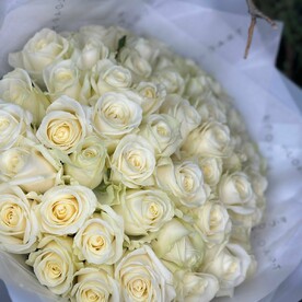 51 белая роза🌺