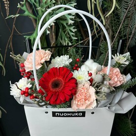 Композиция с герберой, хвоей, илексом