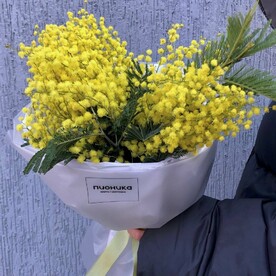 Букет из мимозы