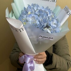 Гортензия в оформлении