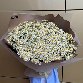 Букет с 35 кустовыми ромашками