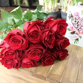 Красные розы🌸