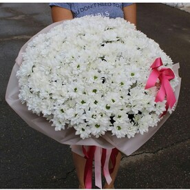 Хризантема кустовая🌺