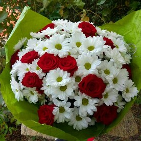 Букет из красных роз и белых хризантем🌸